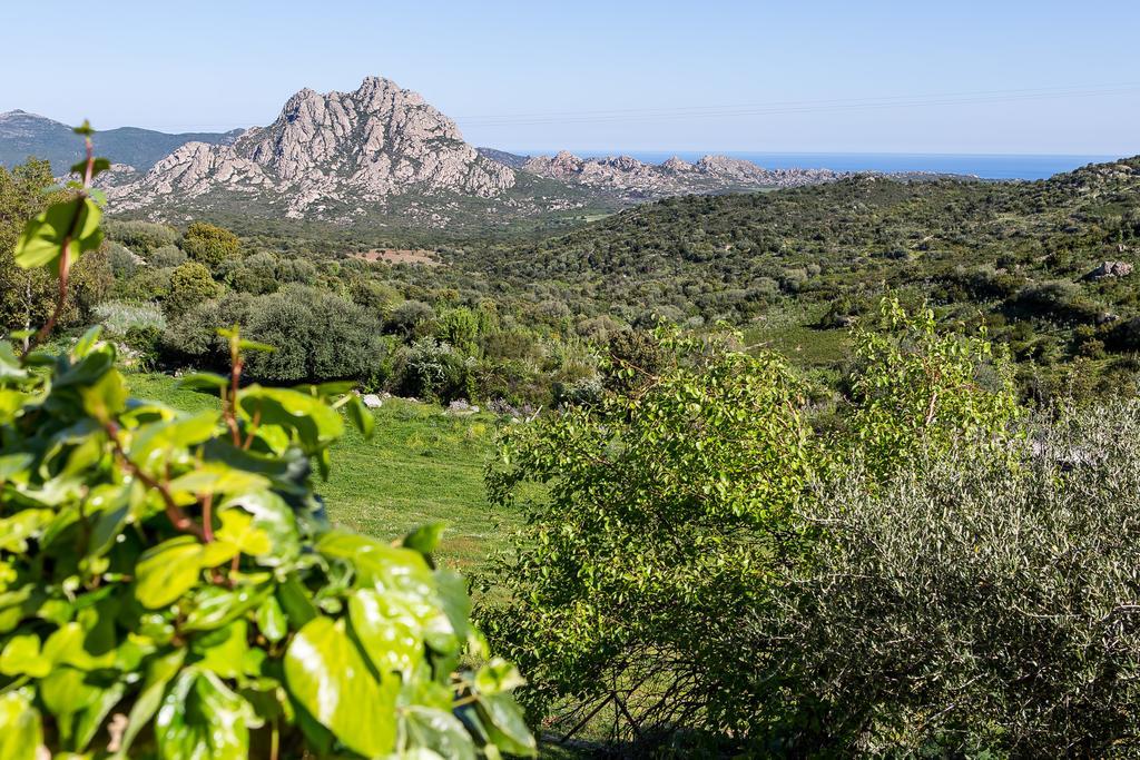 Relais De Saleccia Hotel Casta Buitenkant foto